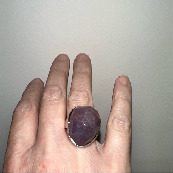 Opalized wood or dinosaur bone adjustable ring - Picture 7 of 11